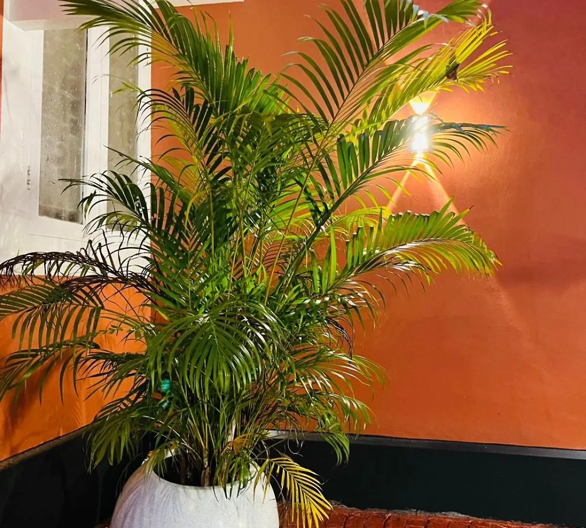 Guest house Adithi Heritage Alappuzha